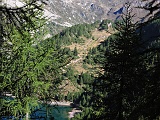 Scorci dal sentiero che sale all'Alpe della Valle..........